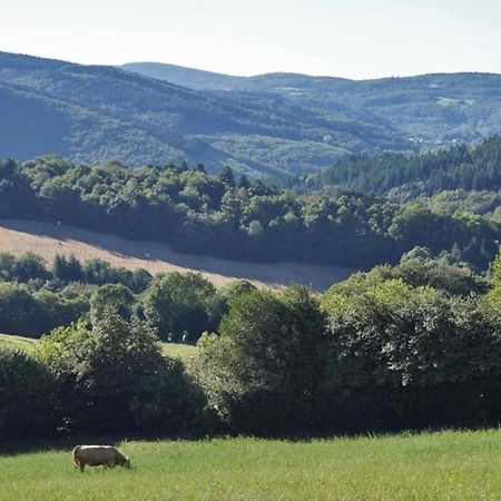 Ahoma, Sejour Bien-Etre, Calme Et Serenite. Labruguière Exteriér fotografie